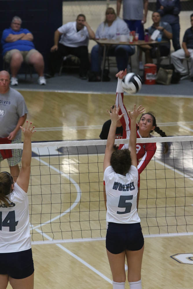 Gallery: Girls volleyball - Crown Point at Michigan City